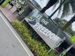-圣淘沙天际线斜坡滑车