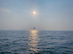 -烟台金沙滩海滨公园