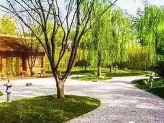 -济南植物园