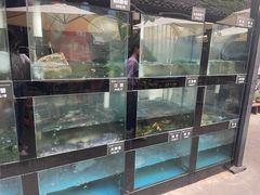 水产区-院8里·少城记忆老川菜(宽窄巷子店)