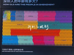 -深圳市当代艺术与城市规划馆