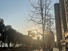 -丁家坡洋芋·观音桥好吃街A区(全国总店)