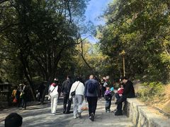 -灵岩山风景区