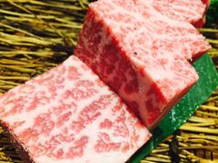 -俺的焼肉(銀座9丁目店)