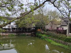 -西溪国家湿地公园