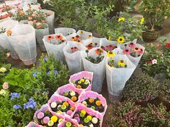 -双季花艺园艺市场(浦东店)