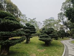 -南宁南湖公园