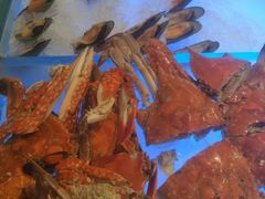 -百合酒店-香榭里自助餐厅