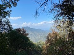 -白草畔自然风景区