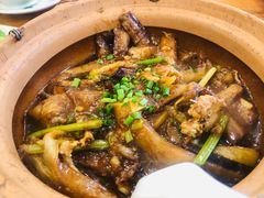 -华信美食