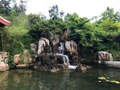 -贮水山儿童公园