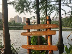 -重庆彩云湖湿地公园