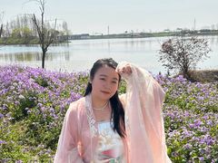 -杭州湾海上花田景区