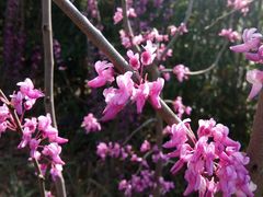 -上海植物园·停车场