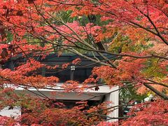 -西湖天地