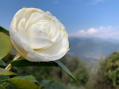 -腾冲云峰山