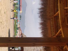 -哈素海