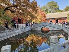 -香山公园