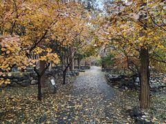 -阳台山自然风景区