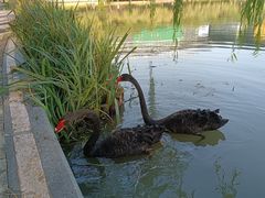 -金桥现代产业园区-停车场