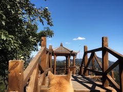 -大岭沟猕猴桃谷风景区