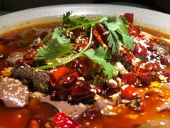 -辛香汇·现炒川菜(淮海路百盛店)