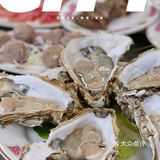 魔都首店｜沙爹口味的火锅你尝试过了吗⁉️⁉️