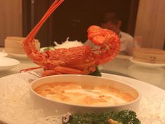 -利苑酒家(华熙国际店)