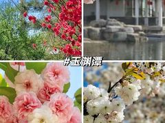 -国家植物园