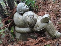 -武陵山森林公园