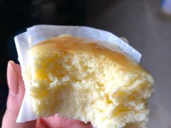 -幸福鸟动物奶油生日蛋糕(巨鹿店)