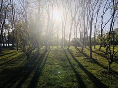 景点-天鹅湖体育公园
