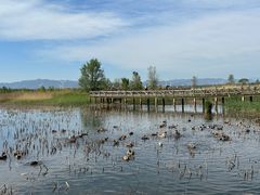 -野鸭湖国家湿地公园