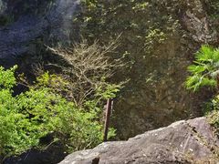 -雁荡山三折瀑景区