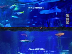 -沈阳海洋探索中心