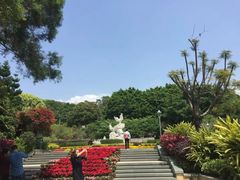 -金鸡山公园