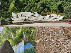 -西双版纳原始森林公园