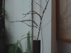 -知亘茶食