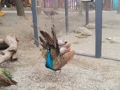 -国色天乡三期陆地乐园