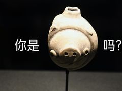 -三星堆博物馆