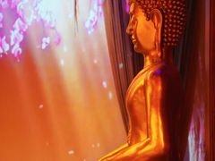-素凯泰泰式按摩SPA(杭州嘉里中心店)