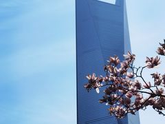 -陆家嘴中心绿地