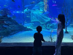 -沈阳海洋探索中心