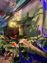 -恐龙探索乐园(磁器口店)