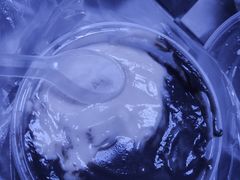 -鞠氏黑芝麻糊(水塔店)