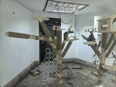 -青藏高原野生动物园