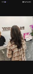 -YESIDO椰岛造型