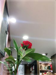 -金太子形象设计