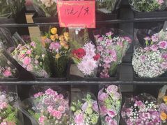 -溪岸路花鸟市场