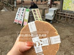 -奈良公园
